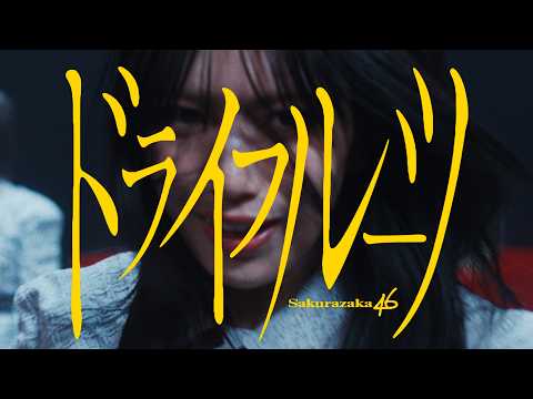 ドライフルーツ