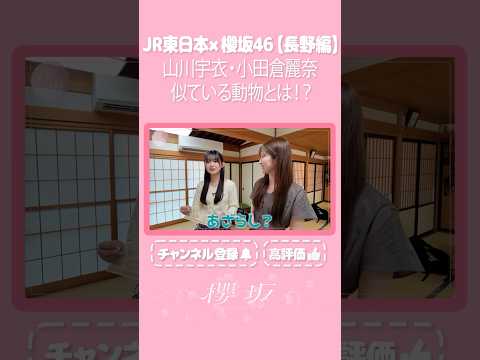 【⬆️本編はコチラ⬆️】山川が似ている動物は「うさぎ」それとも「あざらし？」🚅【ダイジェスト 】#shorts #櫻坂チャンネル