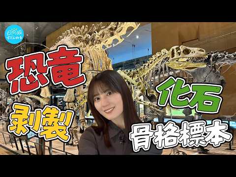 【大迫力】恐竜の骨格標本や化石、動物の剥製まで！小坂菜緒が西日本最大級の総合博物館に行ってみた！【真夏の自由研究】